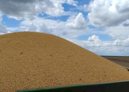 Milho tem 98,4% da &aacute;rea colhida e s&oacute; 35 mil hectares seguem no campo