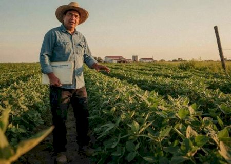Seguro Rural: o que fazer diante da negativa de cobertura