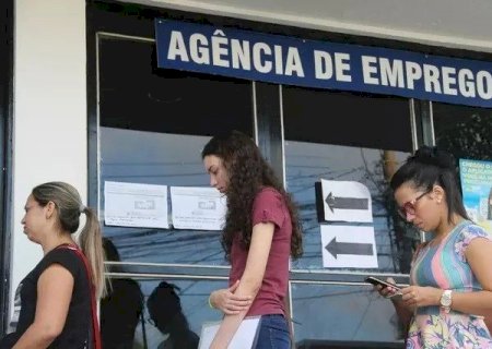 MS mais que dobra n&uacute;mero de trabalhadores com ensino superior em 13 anos