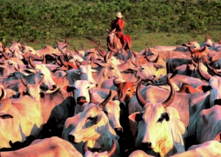 Cota uruguaia pode ampliar espa&ccedil;o para carne de MS chegar &agrave; China