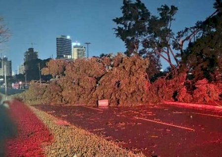 Ap&oacute;s temporal, TJMS suspende prazos que venciam no dia 10 na Capital