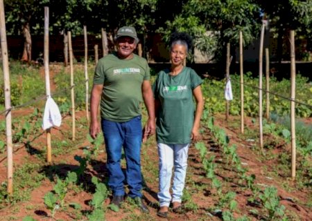 Casal abandona o fiado e melhora a renda com horta em Cassil&acirc;ndia