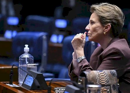 Tereza aposta em mulheres contra caciques para chegar ao comando do Senado