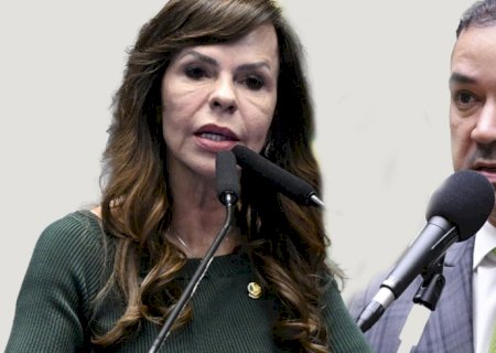 TO: eleitores escolherão entre Professora Dorinha e Vicentinho Júnior