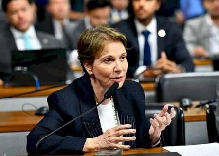 Disputa pelo Senado exp&otilde;e limites da articula&ccedil;&atilde;o pol&iacute;tica de Tereza Cristina