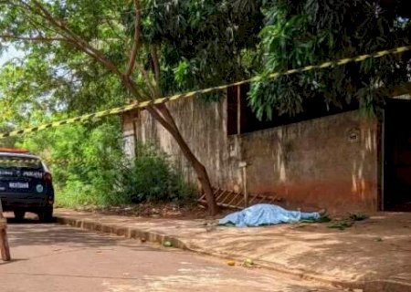 Idoso morre ap&oacute;s cair de escada enquanto podava &aacute;rvore