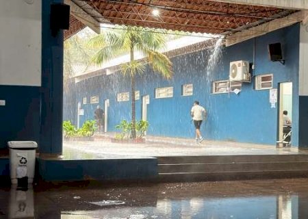 Para 54%, desinteresse pela pol&iacute;tica &eacute; a principal causa de absten&ccedil;&atilde;o em MS