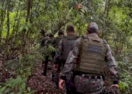 Pantanal recebe refor&ccedil;o na fiscaliza&ccedil;&atilde;o antes da piracema em MS