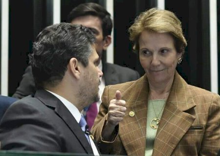 Federa&ccedil;&atilde;o escanteia Tereza Cristina e declara apoio &agrave; reelei&ccedil;&atilde;o de Alcolumbre