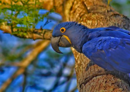 Entre cachoeiras e cardumes, um feriad&atilde;o para explorar a natureza