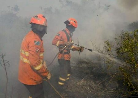 Inc&ecirc;ndios atingem 124 mil hectares do Pantanal em Mato Grosso do Sul
