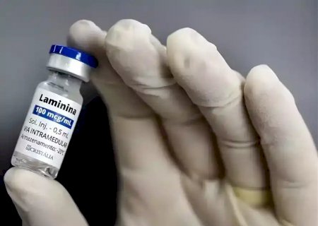 Ap&oacute;s 9 mortes, Anvisa imp&otilde;e novas restri&ccedil;&otilde;es ao uso compassivo da polilaminina